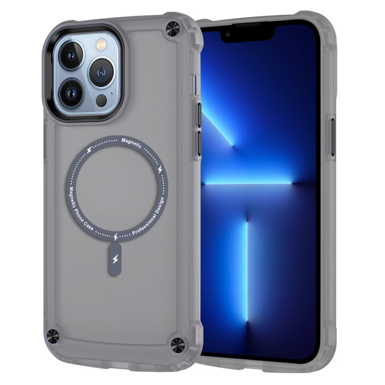 Skin Feel TPU + PC MagSafe Magnetic Phone Case, Series 1