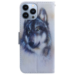 Coloured Drawing Flip Leather Phone Case, For iPhone 14 Pro Max