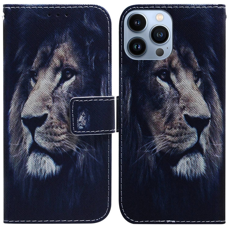 Coloured Drawing Flip Leather Phone Case, For iPhone 14 Pro Max