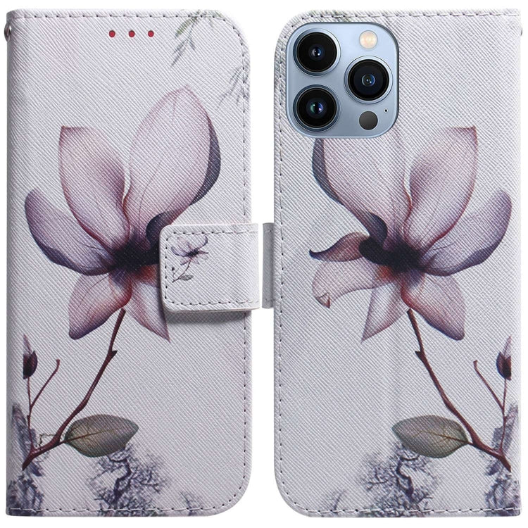 Coloured Drawing Flip Leather Phone Case, For iPhone 14 Pro Max