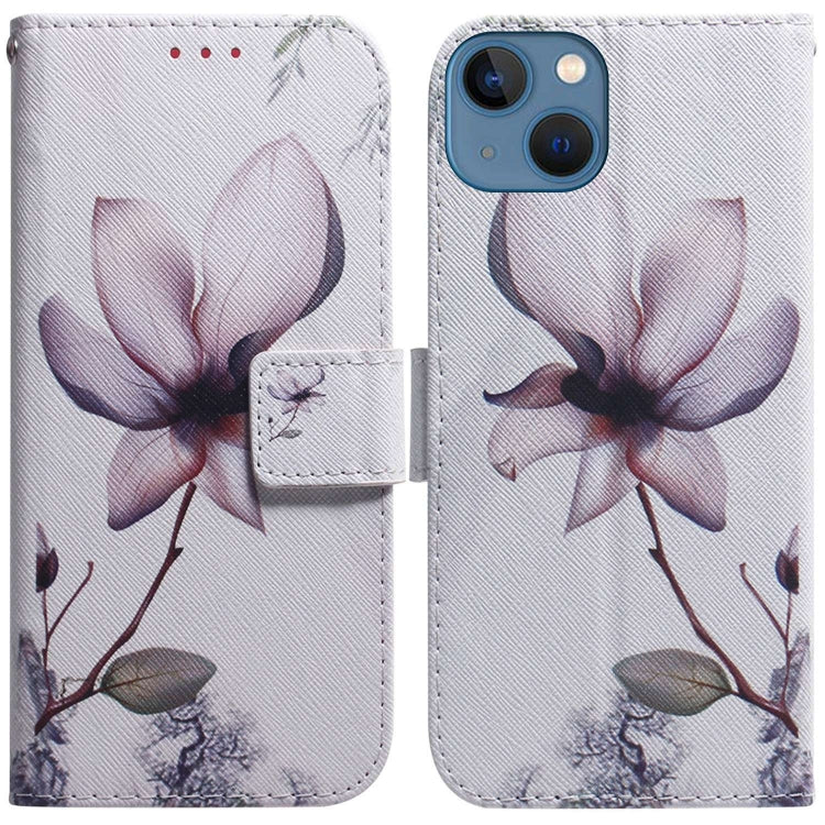 Coloured Drawing Flip Leather Phone Case, For iPhone 14, For iPhone 14 Pro